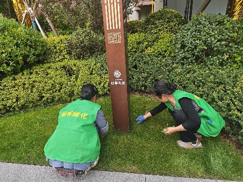 物业服务展示6